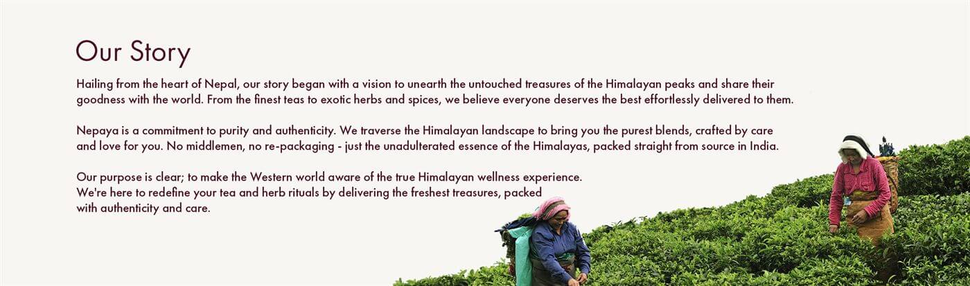 Nepal high-altitude tea gardens